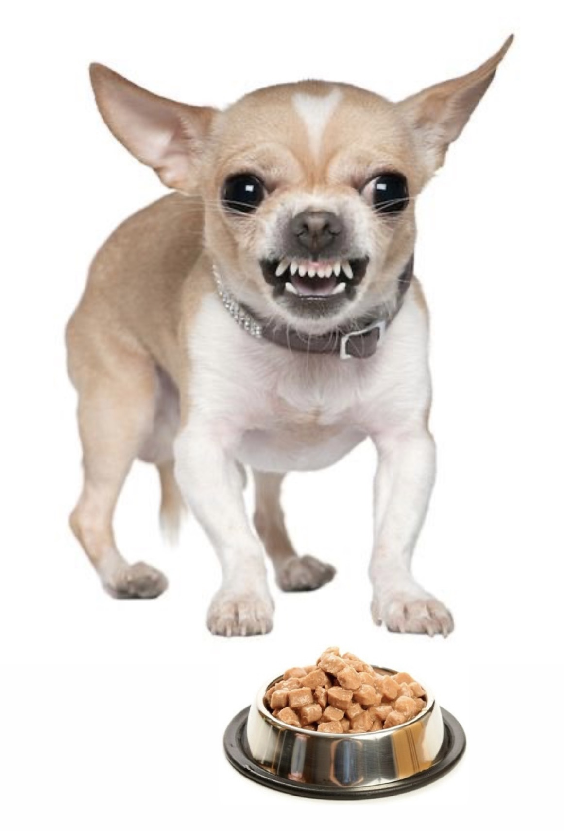 сайт поведінка